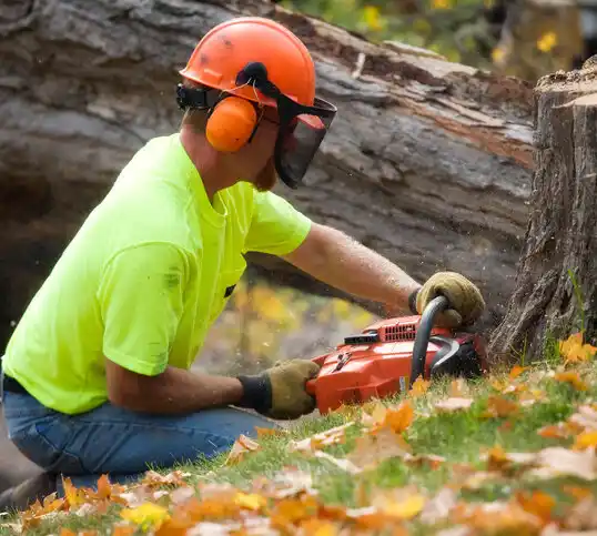 tree services Northchase